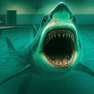 Sharks and Minnows img